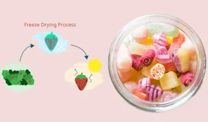 How to Make Freeze-Dried Candy